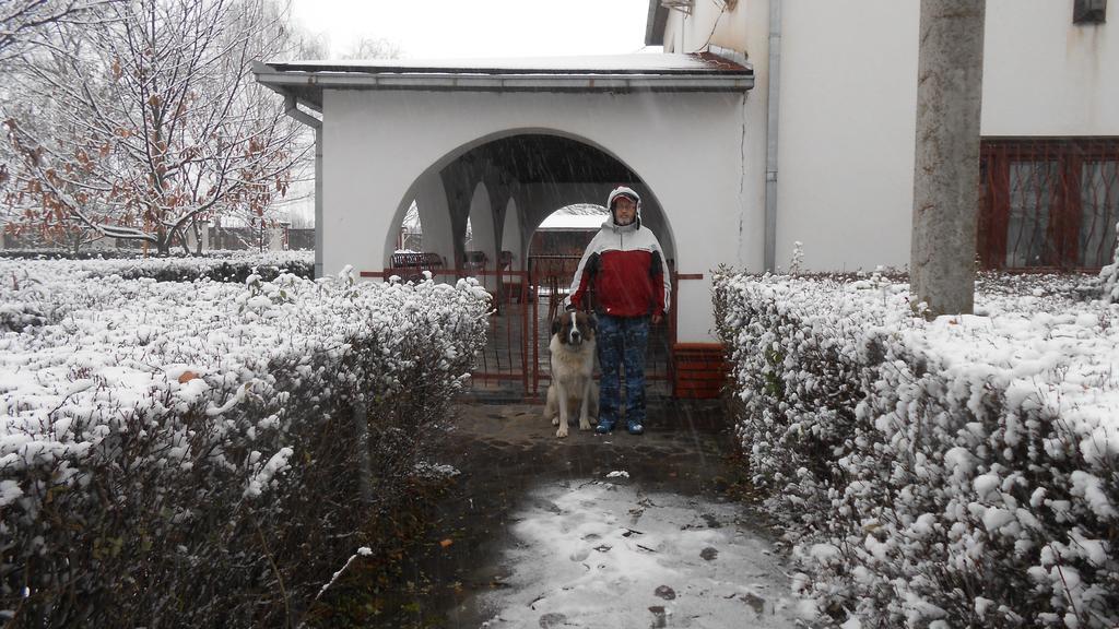 Guest House Marketti Vynohradiv Buitenkant foto